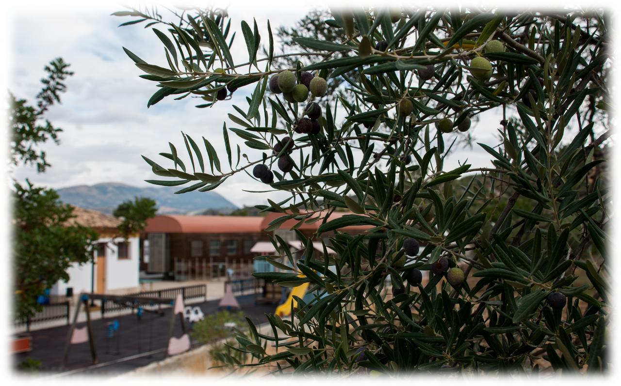 Hostal- Restaurante Estacion Via Verde Olvera Εξωτερικό φωτογραφία